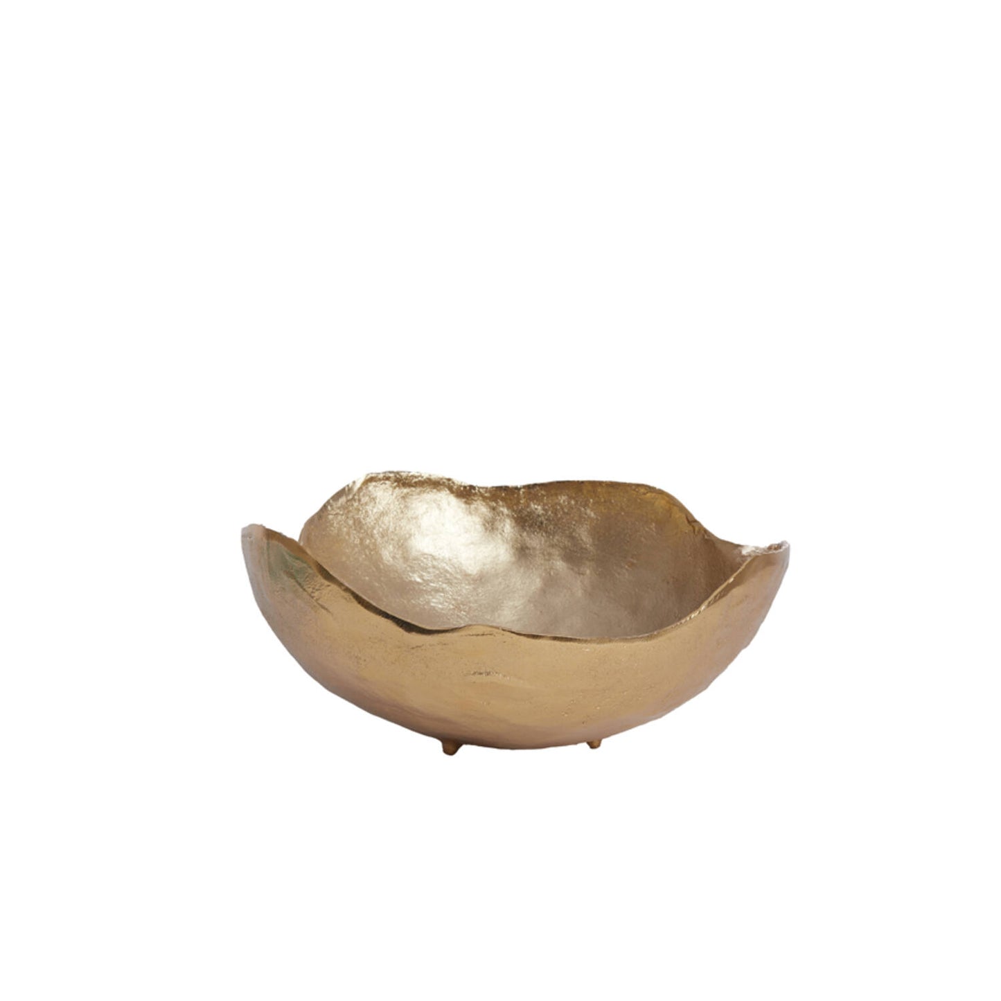 REINE Dish
