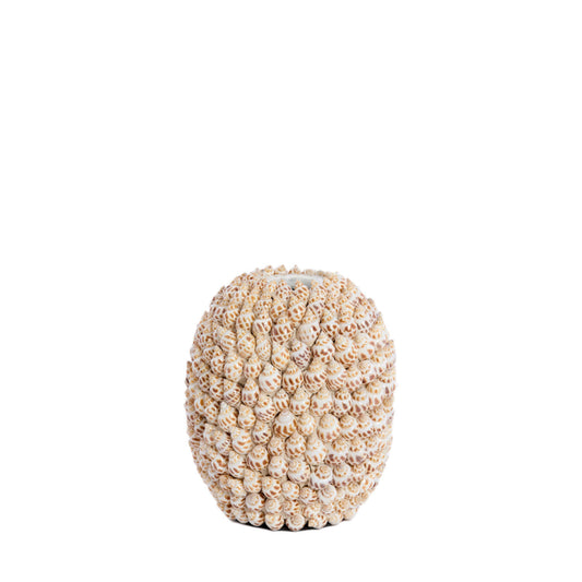 SHELL Vase